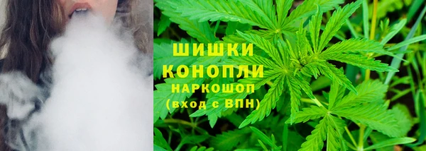 ешки Аркадак